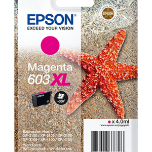 603xl-magenta-singlepack_front-3d