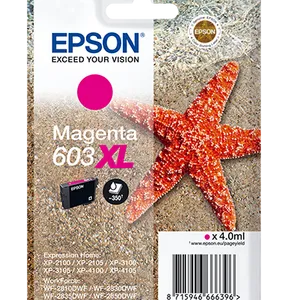 Epson Cartuccia 603 XL C13T03A34010